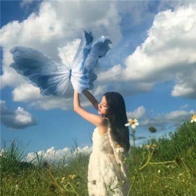 悬案追凶