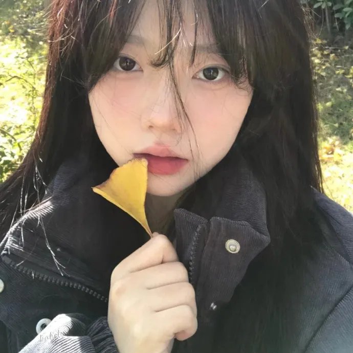 乡村检察官
